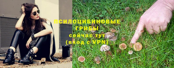 прущий лед Алексин