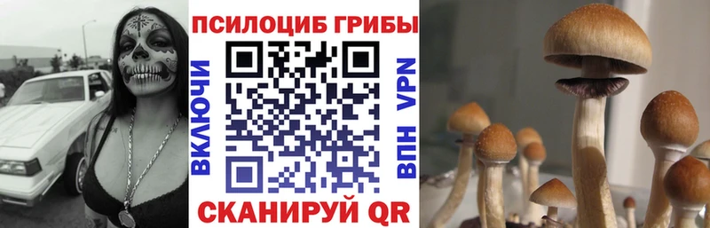 Галлюциногенные грибы MAGIC MUSHROOMS  купить закладку  hydra ссылки  нарко площадка как зайти  Белорецк 