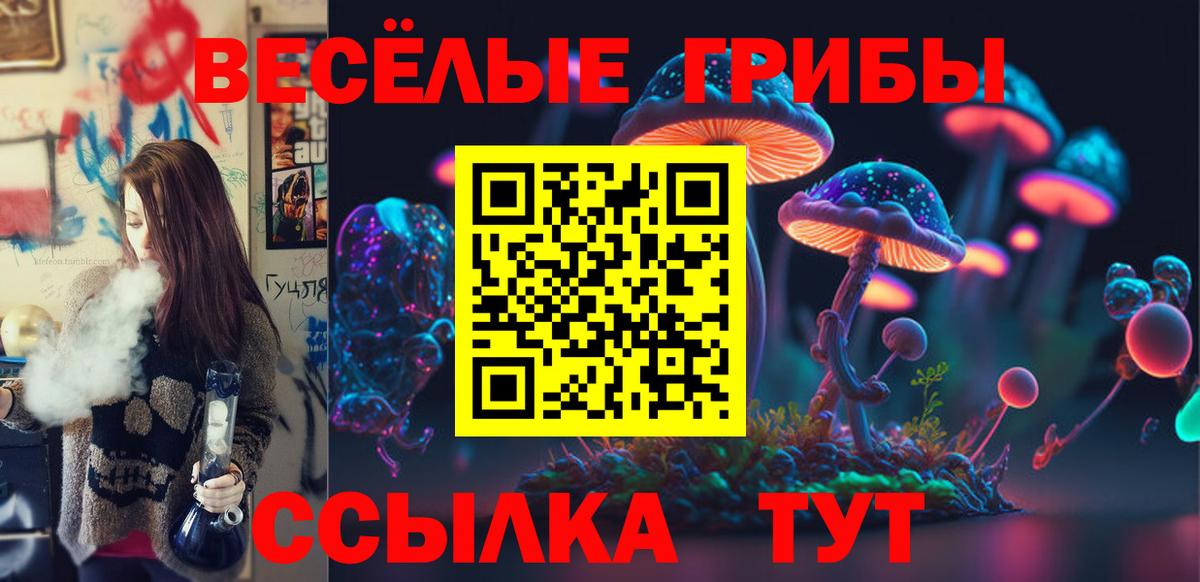 Белорецк  Галлюциногенные грибы Psilocybe  Вход с VPN  Псилоцибиновые грибы GOLDEN TEACHER 